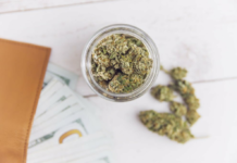Elevate Your Weed Experience: Tips To Get The Most Out Of Your Dispensary Visit