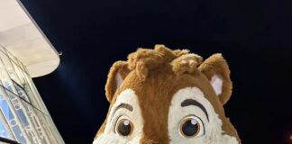 Custom mascot costumes are a game-changer for events and brands.